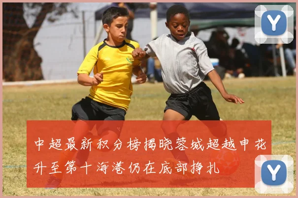 中超最新积分榜揭晓蓉城超越申花升至第十海港仍在底部挣扎