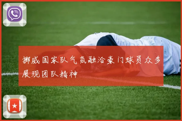 挪威国家队气氛融洽豪门球员众多展现团队精神