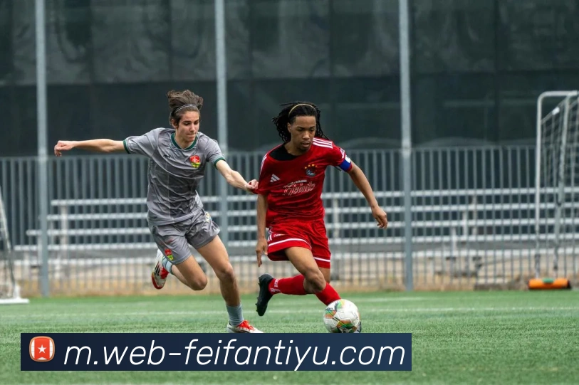 非凡体育服务体系