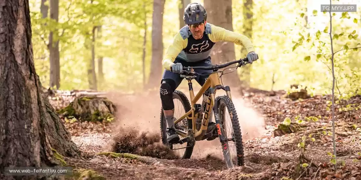 体育周边,冠军同款,你的专属装备库!🏆🎯